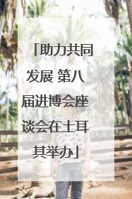 助力共同发展 第八届进博会座谈会在土耳其举办