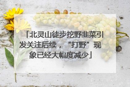 北灵山徒步挖野韭菜引发关注后续，“打野”现象已经大幅度减少