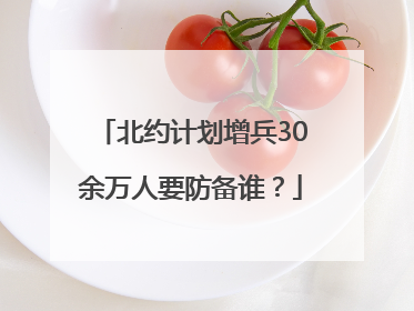 北约计划增兵30余万人要防备谁？