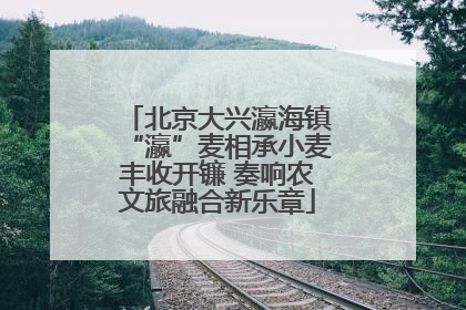 北京大兴瀛海镇“瀛”麦相承小麦丰收开镰 奏响农文旅融合新乐章