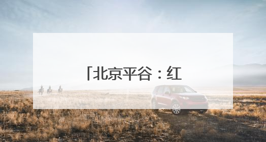 北京平谷：红杏成熟上市