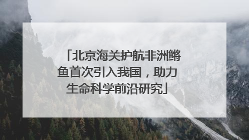 北京海关护航非洲鳉鱼首次引入我国，助力生命科学前沿研究