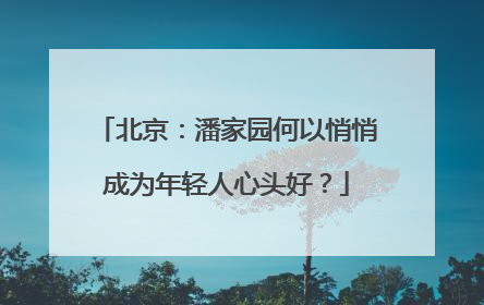 北京：潘家园何以悄悄成为年轻人心头好？