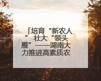 培育“新农人” 壮大“领头雁”——湖南大力推进高素质农民培育
