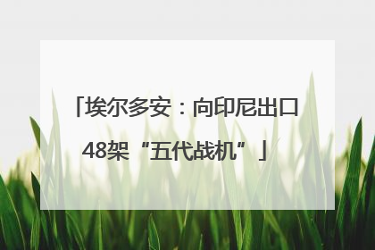 埃尔多安：向印尼出口48架“五代战机”