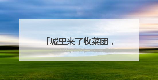 城里来了收菜团，我花三小时赶去山里串门，带回一群七旬村民的心愿
