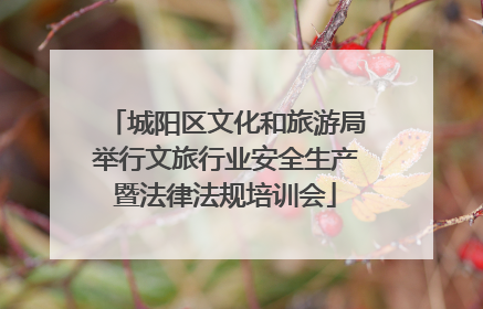 城阳区文化和旅游局举行文旅行业安全生产暨法律法规培训会