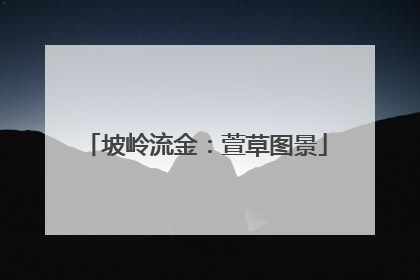 坡岭流金：萱草图景