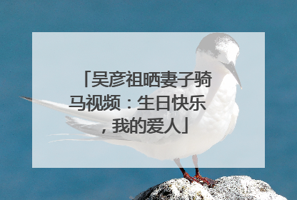 吴彦祖晒妻子骑马视频：生日快乐，我的爱人
