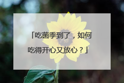 吃菌季到了，如何吃得开心又放心？