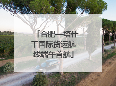 合肥—塔什干国际货运航线端午首航