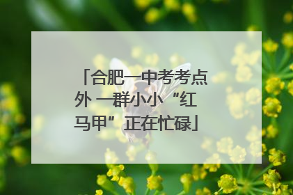 合肥一中考考点外 一群小小“红马甲”正在忙碌