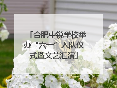 合肥中锐学校举办“六一”入队仪式暨文艺汇演