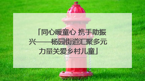 同心暖童心 携手助振兴——杨园街道汇聚多元力量关爱乡村儿童