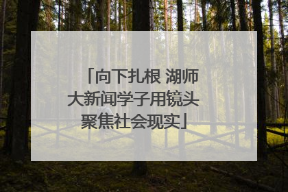 向下扎根 湖师大新闻学子用镜头聚焦社会现实