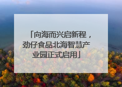 向海而兴启新程，劲仔食品北海智慧产业园正式启用