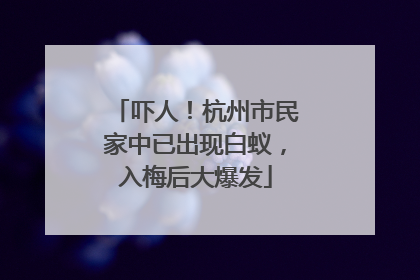 吓人！杭州市民家中已出现白蚁，入梅后大爆发