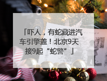 吓人，有蛇藏进汽车引擎盖！北京9天接9起“蛇警”