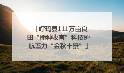 呼玛县111万亩良田“播种收官”科技护航蓄力“金秋丰景”