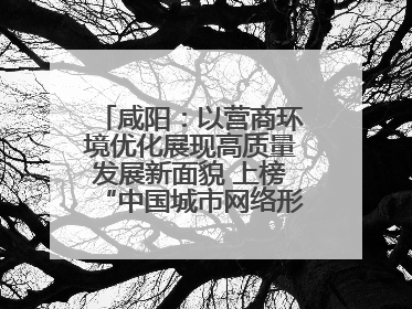 咸阳：以营商环境优化展现高质量发展新面貌 上榜“中国城市网络形象指数”报告