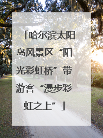 哈尔滨太阳岛风景区“阳光彩虹桥”带游客“漫步彩虹之上”