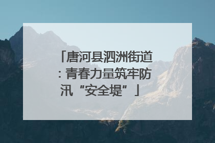 唐河县泗洲街道：青春力量筑牢防汛“安全堤”