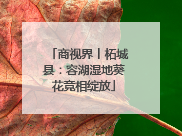 商视界丨柘城县：容湖湿地葵花竞相绽放