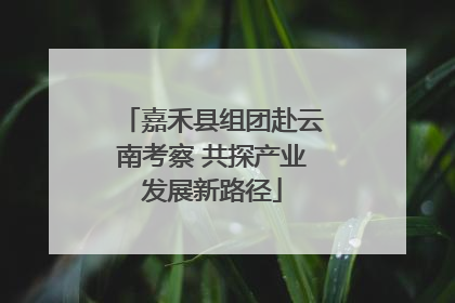 嘉禾县组团赴云南考察 共探产业发展新路径