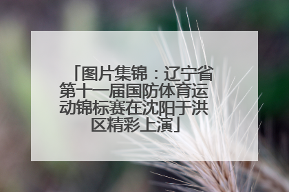 图片集锦：辽宁省第十一届国防体育运动锦标赛在沈阳于洪区精彩上演