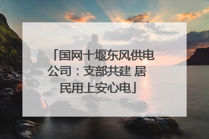 国网十堰东风供电公司：支部共建 居民用上安心电