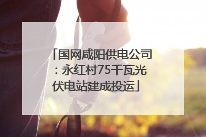 国网咸阳供电公司：永红村75千瓦光伏电站建成投运