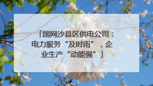 国网沙县区供电公司：电力服务“及时雨”，企业生产“动能强”