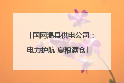 国网温县供电公司：电力护航 夏粮满仓