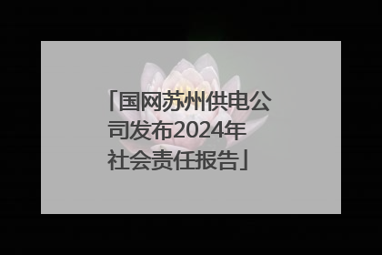 国网苏州供电公司发布2024年社会责任报告