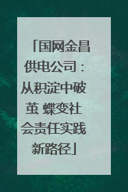 国网金昌供电公司：从积淀中破茧 蝶变社会责任实践新路径
