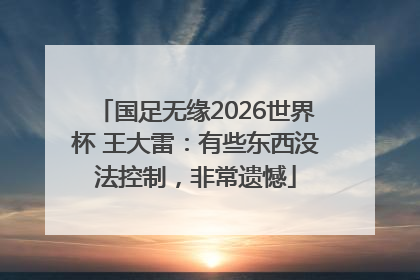国足无缘2026世界杯 王大雷：有些东西没法控制，非常遗憾