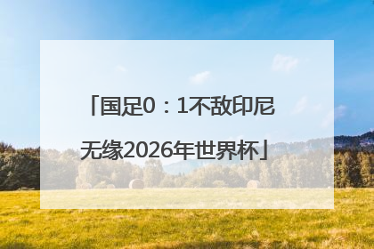 国足0：1不敌印尼 无缘2026年世界杯