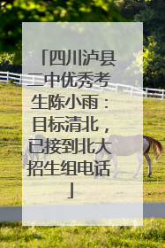 四川泸县二中优秀考生陈小雨：目标清北，已接到北大招生组电话