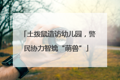 土拨鼠造访幼儿园，警民协力智擒“萌兽”