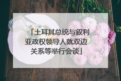土耳其总统与叙利亚政权领导人就双边关系等举行会谈