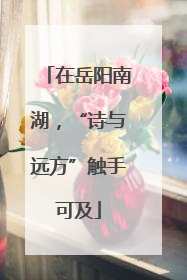 在岳阳南湖，“诗与远方”触手可及