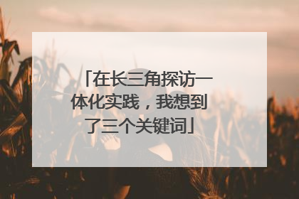 在长三角探访一体化实践，我想到了三个关键词