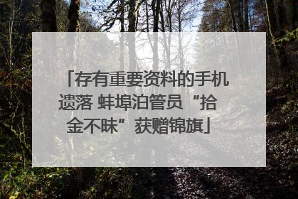 存有重要资料的手机遗落 蚌埠泊管员“拾金不昧”获赠锦旗