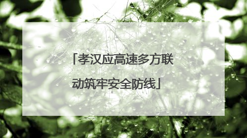 孝汉应高速多方联动筑牢安全防线