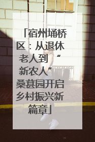 宿州埇桥区：从退休老人到 “新农人” 桑葚园开启乡村振兴新篇章