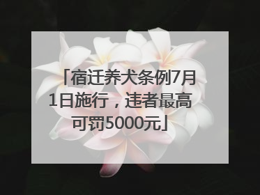 宿迁养犬条例7月1日施行，违者最高可罚5000元