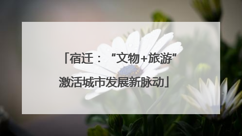 宿迁：“文物+旅游”激活城市发展新脉动