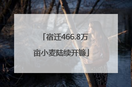 宿迁466.8万亩小麦陆续开镰