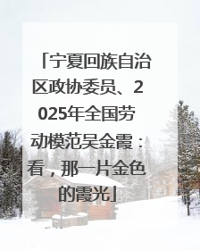 宁夏回族自治区政协委员、2025年全国劳动模范吴金霞：看，那一片金色的霞光