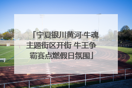 宁夏银川黄河·牛魂主题街区开街 牛王争霸赛点燃假日氛围